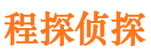 嘉黎侦探公司